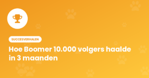Hond Boomer met 10.000 volgers