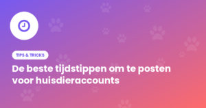 Beste tijdstippen om te posten